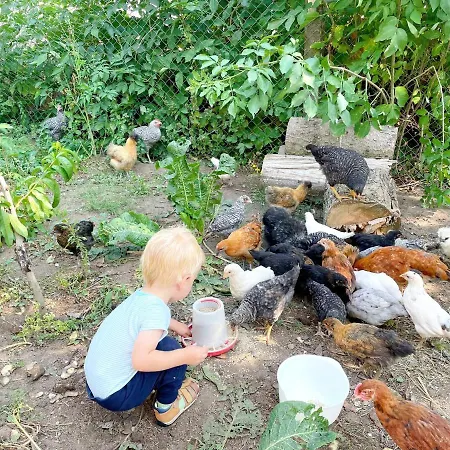 Mit Pool, In Der Casa de Férias