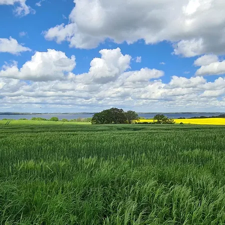 Mit Pool, In Der Casa de Férias *