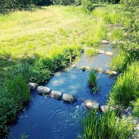 Mit Pool, In Der Hohenbollentin