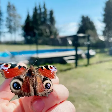 Mit Pool, In Der Casa de Férias Hohenbollentin