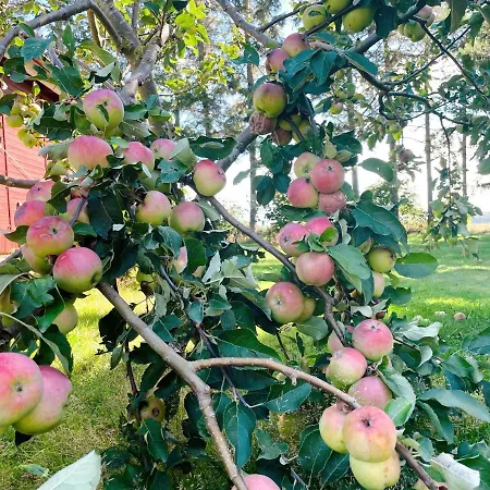 Mit Pool, In Der Casa de Férias *