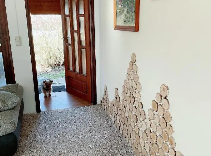 Mit Pool, In Der Hohenbollentin