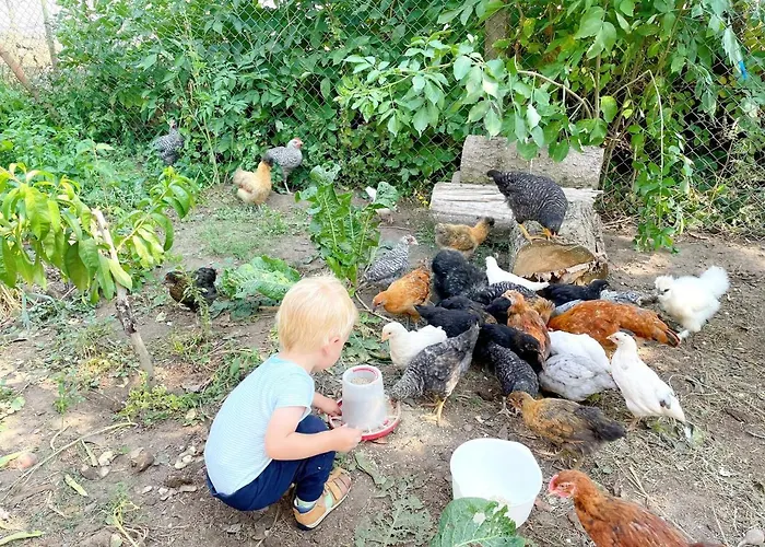 Mit Pool, In Der بيت للعطل