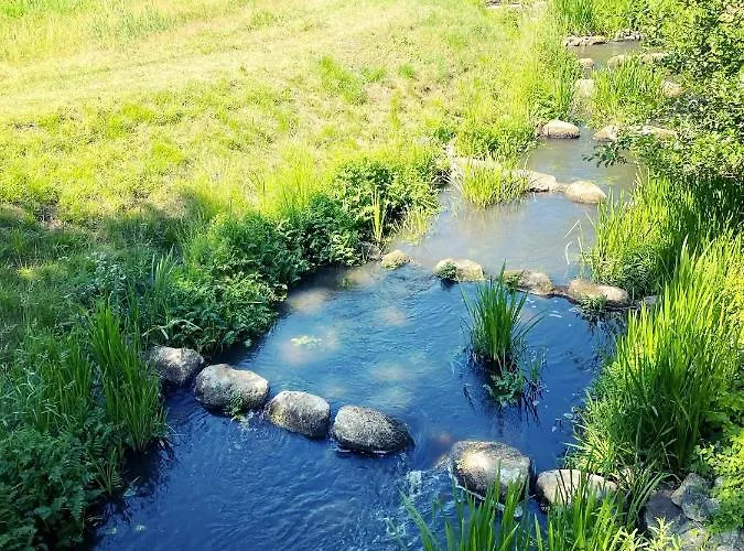 Mit Pool, In Der Hohenbollentin