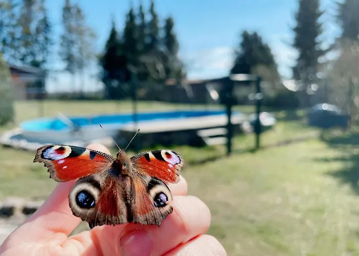 Mit Pool, In Der بيت للعطل Hohenbollentin