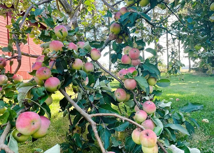 Mit Pool, In Der بيت للعطل *